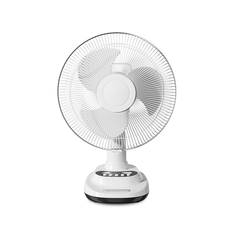LIULIU POWER Model 5312 rechargeable fan